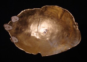 Semillas D'oro interior