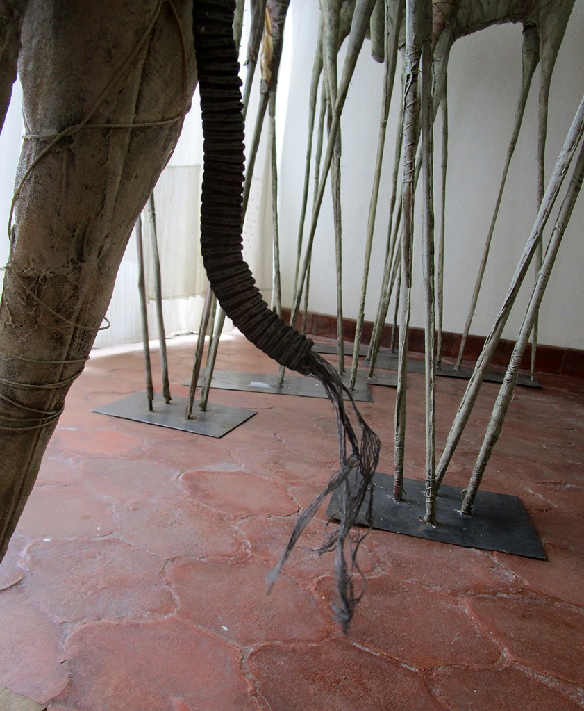 images from the studio 10