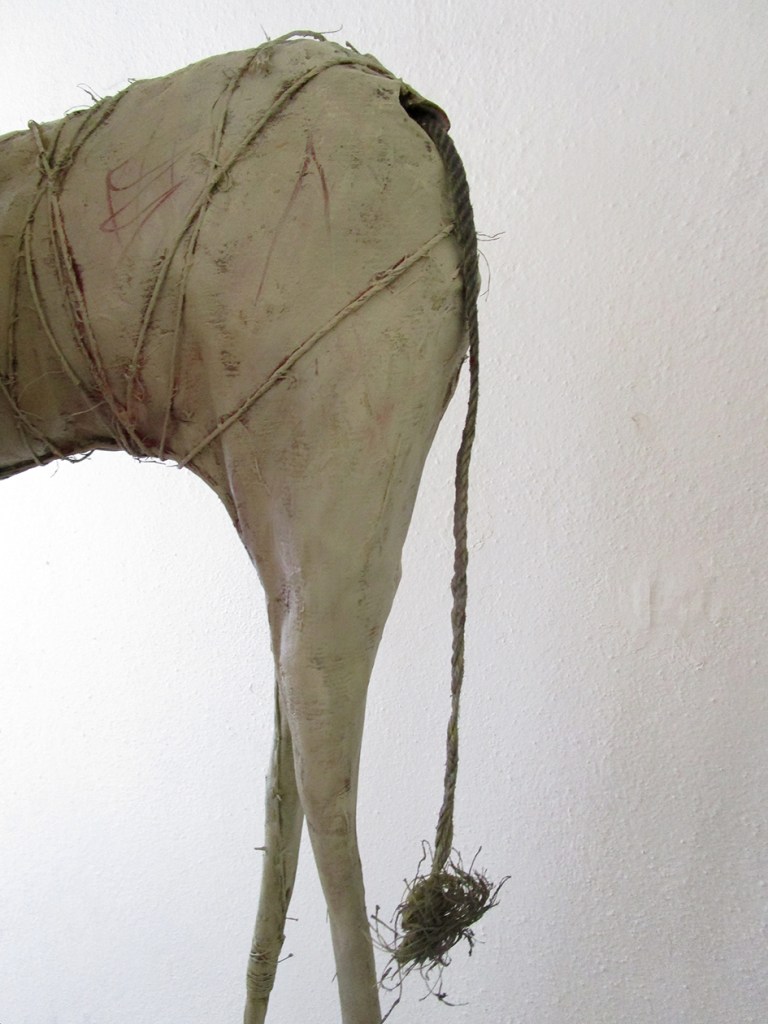 images from the studio 17